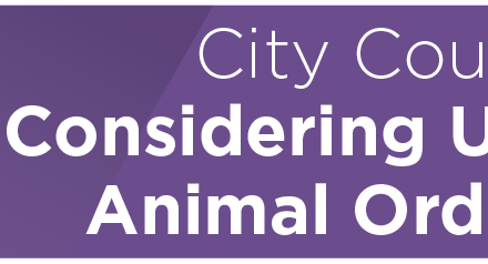 City Council Considering Update to Animal Ordinance 