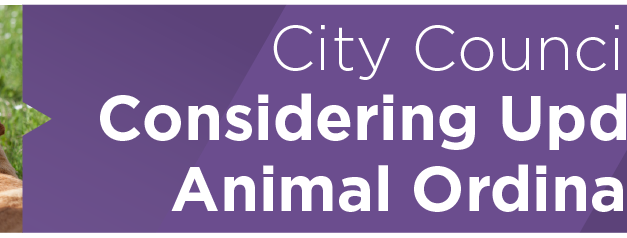 City Council Considering Update to Animal Ordinance 