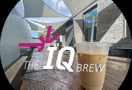 The IQ® Brew Next Thursday 