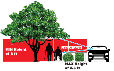 Does Your Landscaping Block the View of Pedestrians or Motorists? If So, Please Trim Back for Everyone’s Safety