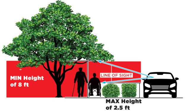 Does Your Landscaping Block the View of Pedestrians or Motorists? If So, Please Trim Back for Everyone’s Safety