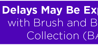 Delays May Be Experienced With Brush and Bulky Item Collection (BABIC) 