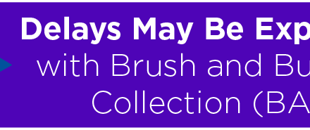 Delays May Be Experienced With Brush and Bulky Item Collection (BABIC) 