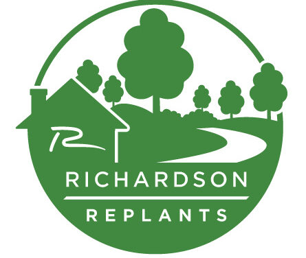 Richardson Replants Fall Tree-Giveaway on Nov. 1