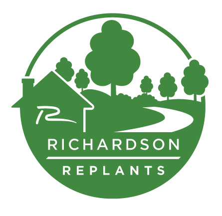 Richardson Replants Fall Tree-Giveaway on Nov. 1