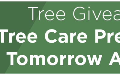 “Richardson Replants” Provides 100 Trees at National Night Out