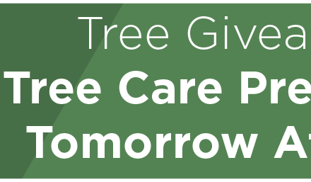 Tree Giveaway at Tree Care Presentation Tomorrow Afternoon 