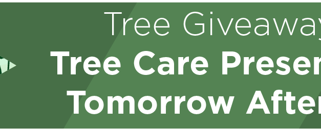 Tree Giveaway at Tree Care Presentation Tomorrow Afternoon 