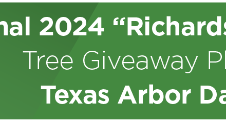 Final 2024 Richardson Replants Tree Giveaway Planned for Texas Arbor Day Nov. 1 