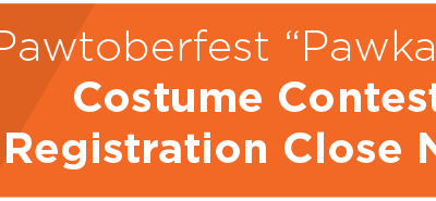 Pawtoberfest “Pawkage” Presale, Costume Contest and Puppy Yoga Online Registration Close Next Friday