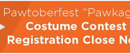 Pawtoberfest “Pawkage” Presale, Costume Contest and Puppy Yoga Online Registration Close Next Friday 