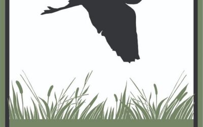Walk & Talk Bird Tour Tomorrow Morning at Wetland Center 