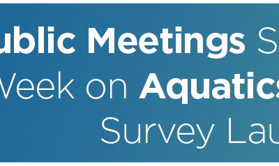 Public Meetings Scheduled Next Week on Aquatics Master Plan, Survey Launched