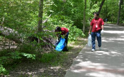 Organize a Parks Cleanup Outing for Family, Friends 