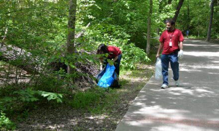 Organize a Parks Cleanup Outing for Family, Friends 