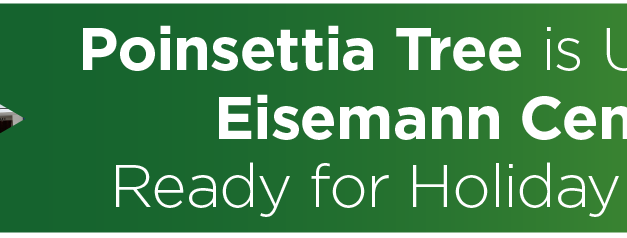 Poinsettia Tree is Up at the Eisemann Center, Ready for Holiday Photos