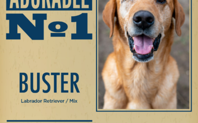 Pet of the Week