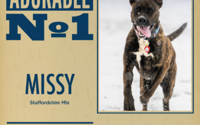 Pet of the Week