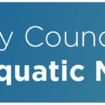 City Council Approves Aquatic Master Plan 