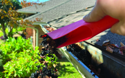 Clean Rain Gutters to Prevent Pests, Home Damage 