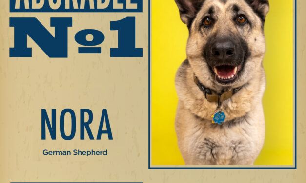 Pet of the Week