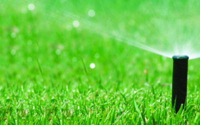 Lawn Watering Switches to Summer Conservation Plan April 1