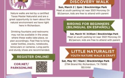 Guided Walk through Spring Creek Nature Area