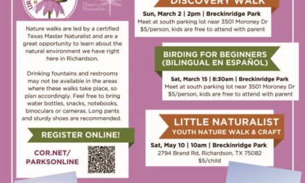 Guided Walk through Spring Creek Nature Area