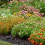 RWC, City of Richardson Present Annual Garden Tour Tomorrow  (May 3)