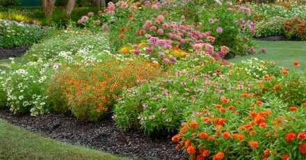 RWC, City of Richardson Present Annual Garden Tour Tomorrow  (May 3)