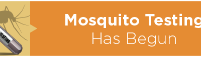 Mosquito Testing Has Begun 