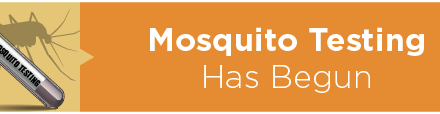 Mosquito Testing Has Begun 