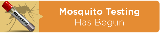Mosquito Testing Has Begun 