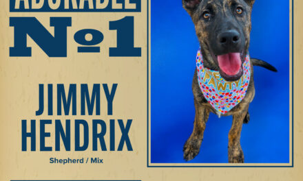 Pet of the Week 