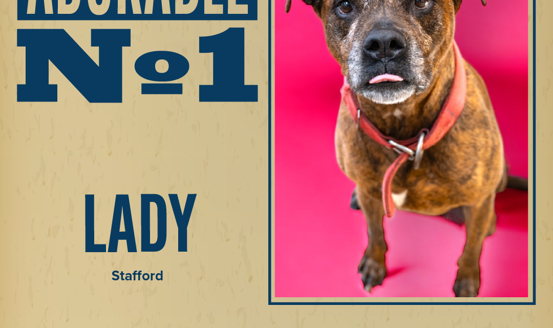 Pet of the Week