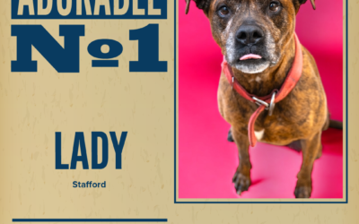 Pet of the Week