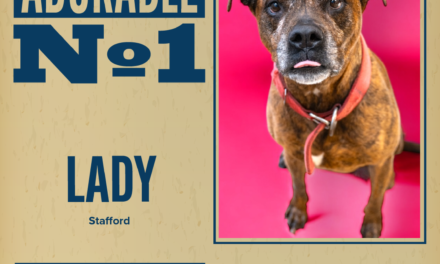 Pet of the Week