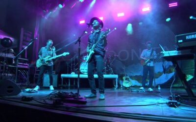 Wildflower! Arts and Music Festival Held in Richardson