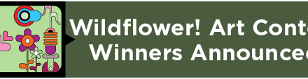 Wildflower! Art Contest Winners Announced 