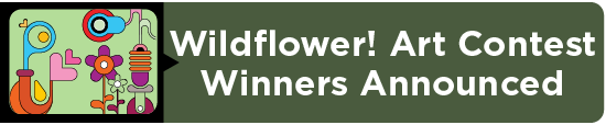 Wildflower! Art Contest Winners Announced 