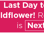 Last Day to Purchase Wildflower! Resident Tickets is Next Friday 