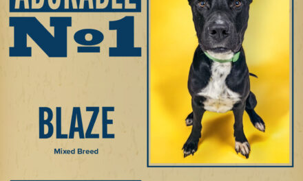 Pet of the Week