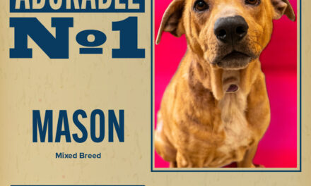 Pet of the Week