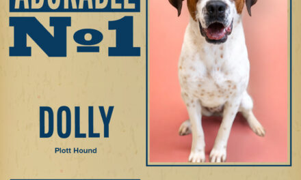 Pet of the Week