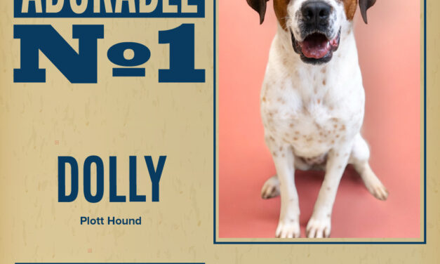 Pet of the Week