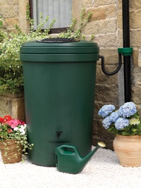 City Offers Rainwater Harvesting Resources