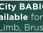 City BABIC Service Available for Post-Storm Limb, Brush Pick-up