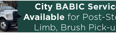 City BABIC Service Available for Post-Storm Limb, Brush Pick-up