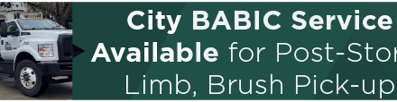 City BABIC Service Available for Post-Storm Limb, Brush Pick-up