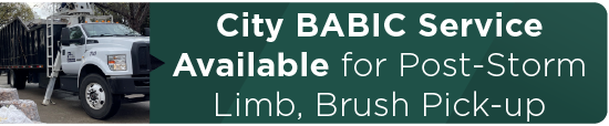 City BABIC Service Available for Post-Storm Limb, Brush Pick-up